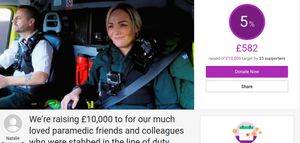 The fundraising page. Photo: JustGiving