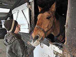 Supporting image for story: Rescuers battle in winter wonderland