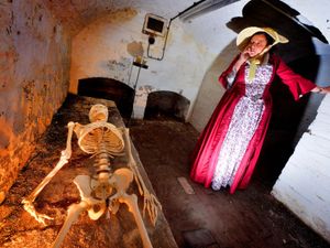 Supporting image for story: Cellar tours to offer a spookier look at the life of famous doctor Erasmus Darwin - with video