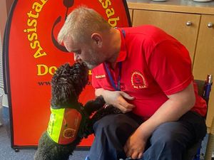 Supporting image for story: Shrewsbury charity appeals for volunteers to help with dog training 