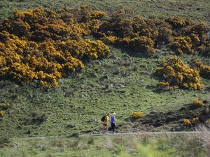 Supporting image for story