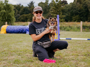 Supporting image for story: Here's a paw-fect way to spend time with your dog in Newport