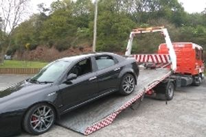 Supporting image for story