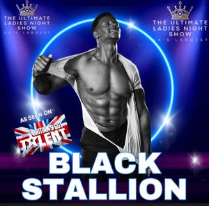 Black Stallion THE Ultimate Ladies Night Show