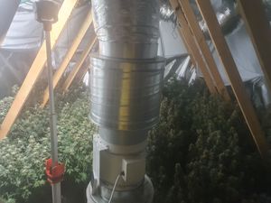 Supporting image for story: Two arrested after cannabis found growing in Codsall