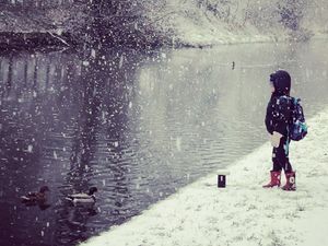 Supporting image for story: Drivers urged to take extra care as 'severe weather' affects M6 Toll and warnings issued