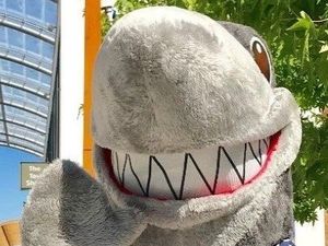 Supporting image for story: Biting back against loan sharks in Tipton