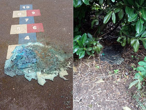 Supporting image for story: Arsonists strike again at Telford park