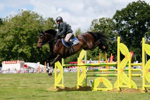 The show jumping at Burwarton Show