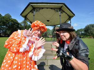 Supporting image for story: Toad of Toad Hall promises panto style fun in free production