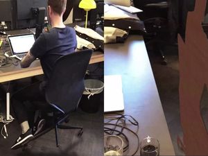 Supporting image for story: This animator trolled her absent colleague in an incredibly innovative way