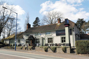 Supporting image for story: The Dog in Warley