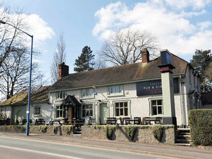 Supporting image for story: The Dog in Warley