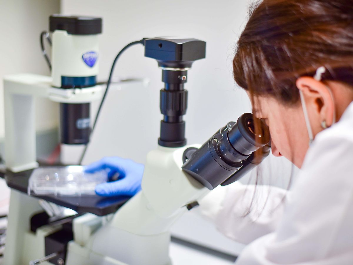 Researchers discover new treatments for liver and bowel cancer