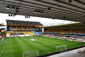 Supporting image for story: Wolves Trust appoint new chair and board