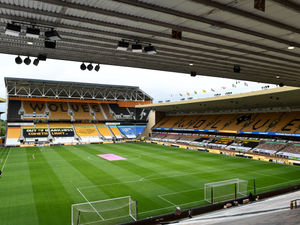 Supporting image for story: Wolves Trust appoint new chair and board