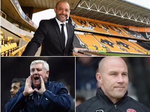 Supporting image for story: Carabao Cup draw: Wolves to Host Yeovil Town