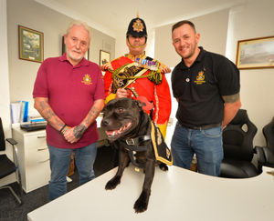 Wolverhampton Branch Staffordshire Regiment Association member Denis Evans, handler Greg Hedges, with Watchman VI, and branch secretary Paul Hart are proud to see the regiment recognised with a royal award