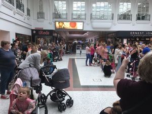 Supporting image for story: Anger at FIVE-HOUR queue to buy a teddy bear as Telford store offer draws 'unprecedented' queues
