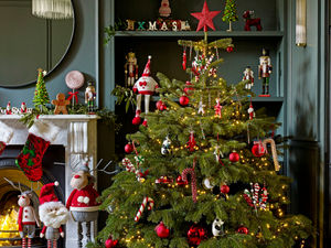 Supporting image for story: Santa opening his Valley grotto