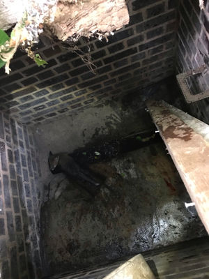 Residents had alerted the RSPCA after hearing the young fox crying