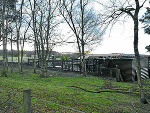 Supporting image for story: Cannock cattery fire precautions after disaster