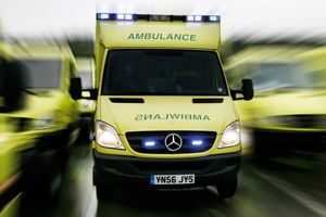 Supporting image for story