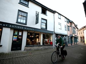 Supporting image for story: Wales should have ‘two-week buffer period’ after firebreak, Plaid Cymru says