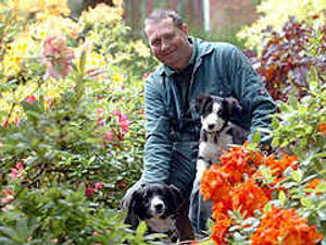 Supporting image for story: Beauty spot blooms thanks to showers