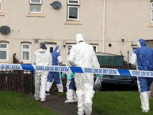 Supporting image for story: Man charged with fatal XL bully attack