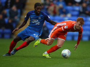 Supporting image for story: Reports: Anthony Grant turns down chance to join Shrewsbury Town