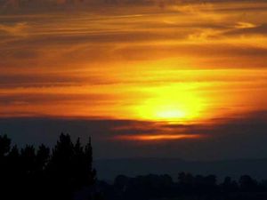 Supporting image for story: Nature's fantastic blaze of glory in Shropshire