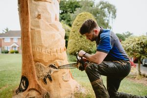 Joffrey Watson, aka The Chainsaw Bloke, has created a tree sculpture featuring animals and landmarks