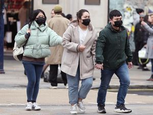 Supporting image for story