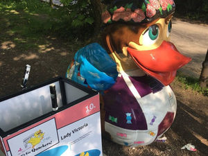 Supporting image for story: Investigations continue after giant Ironbridge duck vandalised 