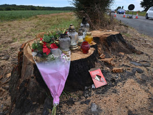 Supporting image for story: Man who died when car came off A41, hit tree and caught fire is named