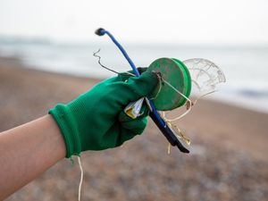 Supporting image for story: Annual beach clean finds increased levels of PPE