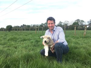 Supporting image for story: 'Starting this venture has been a lifelong dream' says excited owner of new farming business