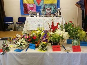 Some winning entries and prizes from last year's Llanddewi Show