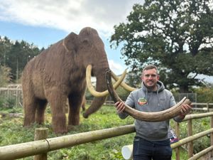 Will Dorrell of Hoo Zoo and Dinosaur World showing off the latest exhibit