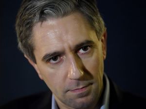 Supporting image for story: Tanaiste: Ireland will ban goods, not services, from illegal Israeli settlements