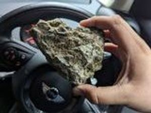 Supporting image for story: Rocks thrown at bus in Telford cause £1,000 in damage
