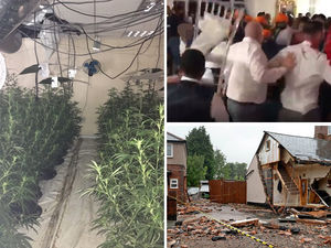 Supporting image for story: Cannabis, crime and THAT wedding video: Most read stories of 2019 revealed