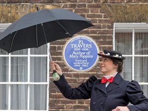 Supporting image for story