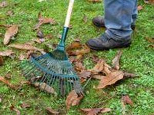 Supporting image for story: Last few weeks of garden waste collections in Powys for 2025