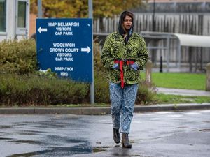 Supporting image for story