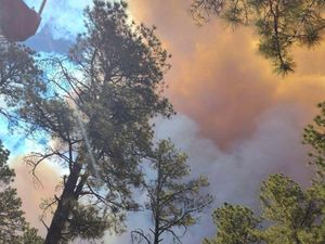 Supporting image for story: Wildfire damages structures in New Mexican village after residents flee