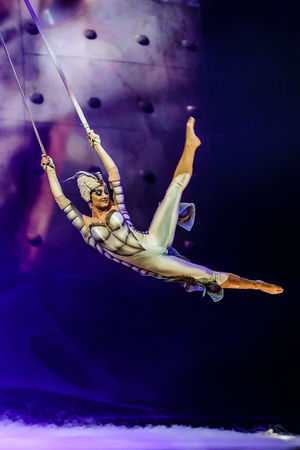 Cirque du Soleil OVO. Pictures by: Chris Bowley