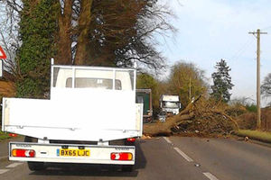 Fallen tree in Hadnall, near Shrewsbury. Pic by Cerian Ridgway.