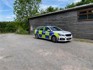 Supporting image for story: Strimmer stolen in late-night barn burglary near Much Wenlock